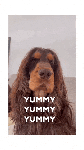 Cute Puppy GIF