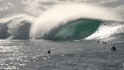 Wave Surf GIF by Red Bull