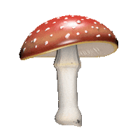3D Forest Sticker