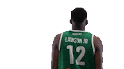 Sport Basketball Sticker by Basket_fi