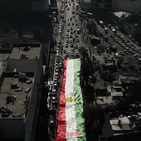 Party Kurdistan GIF