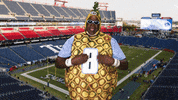 National Football League GIF by Tennessee Titans