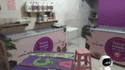 DeliciaGeladaparacambi  GIF