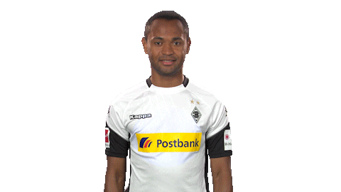 borussia moenchengladbach football Sticker by Bundesliga