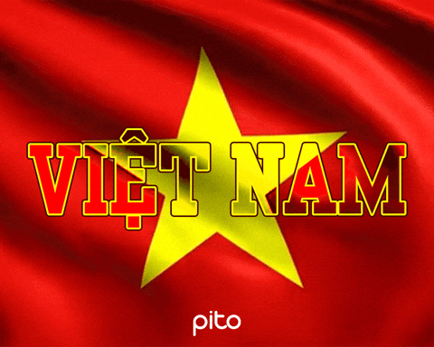 Viet Nam Peace GIF by PITO