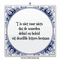 Reflectie Frustratie GIF by Tegelspreuken.nl