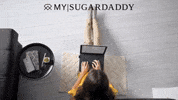 Working Home Office GIF by M|SD Official