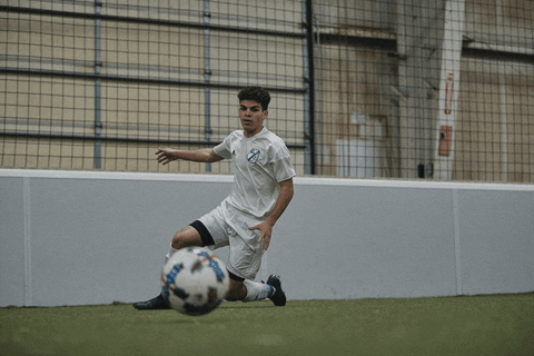 Storelli_Sports giphyupload GIF