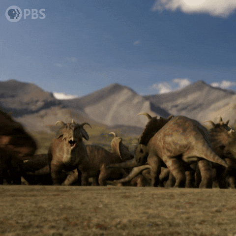 Fight Headbutting GIF by PBS