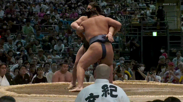 TZ85 giphyupload sumo 2023 nagoya basho hoshoryu GIF