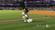 Houston Astros GIF by MLB
