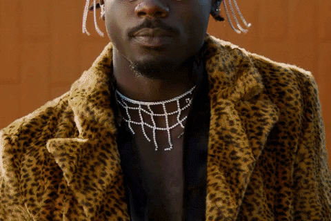 GIF by RCA Records