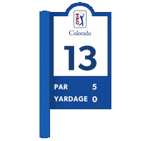 Pga Tour Golf Sticker by TPC Network