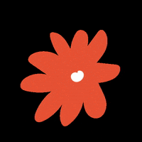 macafloresdg flower flor rojo ilustracion GIF