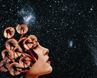 Space Stars GIF