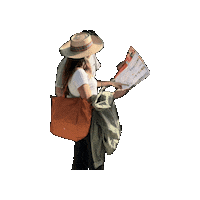 citysightseeing city tour bus tickets Sticker