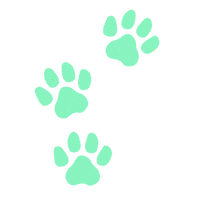 dog Sticker by Rover.com