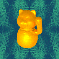 Palm Tree Cat GIF by Morena Daniela