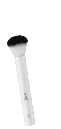 glitter brush Sticker by Dagi Bee