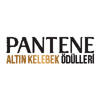 red carpet gold Sticker by Pantene