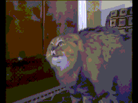 girlfriend finger GIF