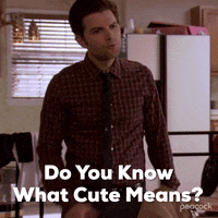 Season 3 Ben GIF by Parks and Recreation