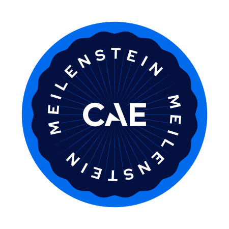 German Deutsch Sticker by CAE