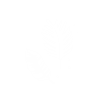 Beach Leaf Sticker by Sol Studio