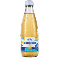 Kombucha Croatia Sticker by ekipa.hr