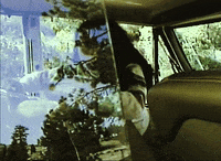 Waysides GIF by Bedouine