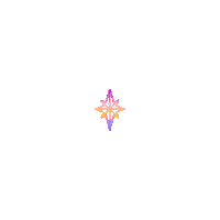 Star Estrella Sticker by Univision