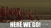 ForwardMadisonFC here we go flamingos forward madison GIF