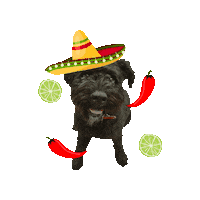 Puppy Sombrero Sticker by Copy Posse