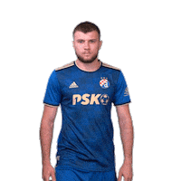 Football Soccer Sticker by GNK Dinamo