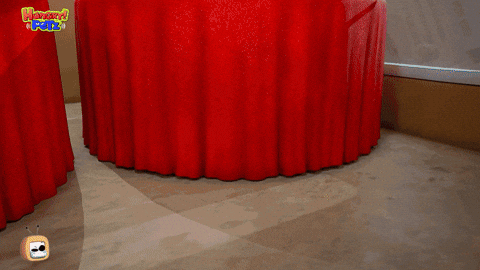 Angry Cat GIF by HangryPetz