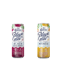 Hard Seltzer Sticker by Casa Cuervo