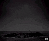tiff black and white robert pattinson toronto international film festival willem dafoe GIF