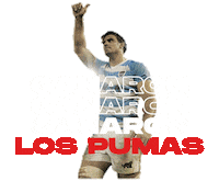 Argentina Rugby Sticker by icbc