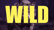 Wild Etf GIF by CGTraveler - Carlos Garrido - Adventrgram