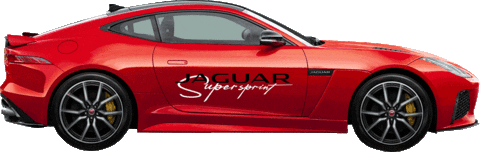 Australian Grand Prix Jaguar Sticker by JaguarAustralia