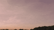 alaska GIF by Maggie Rogers