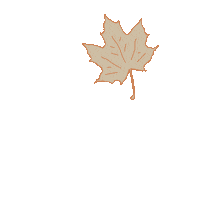 Falling Leaf Fall Sticker