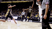 GIF by University of Iowa Hawkeyes Athletics