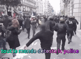 France Action GIF