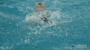 fly swimming GIF by GreenWave