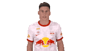 Red Bull Sport Sticker by FC Red Bull Salzburg