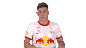 Red Bull Sport Sticker by FC Red Bull Salzburg
