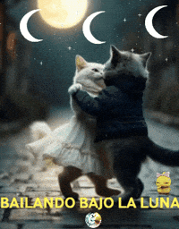 Musica Amigos GIF by Murcianys LLC