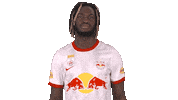 Celebration Score Sticker by FC Red Bull Salzburg