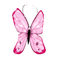 Butterfly Sticker